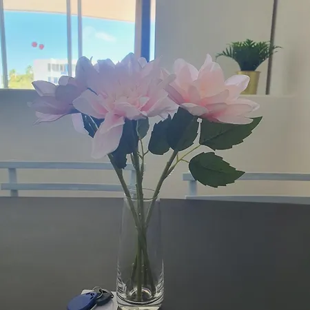 Relax And Pool En Park Appartamento