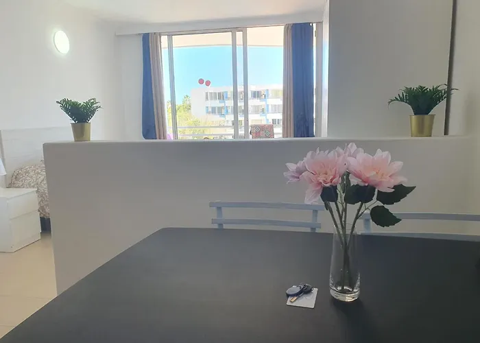 Relax And Pool En Park Apartament