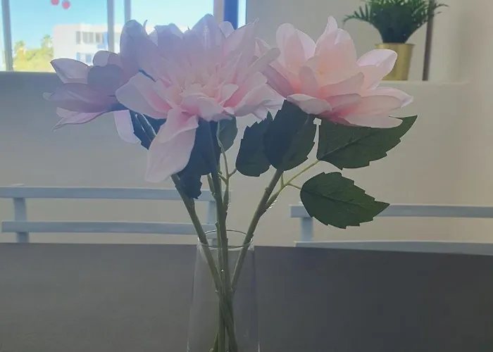 Relax And Pool En Park Apartment